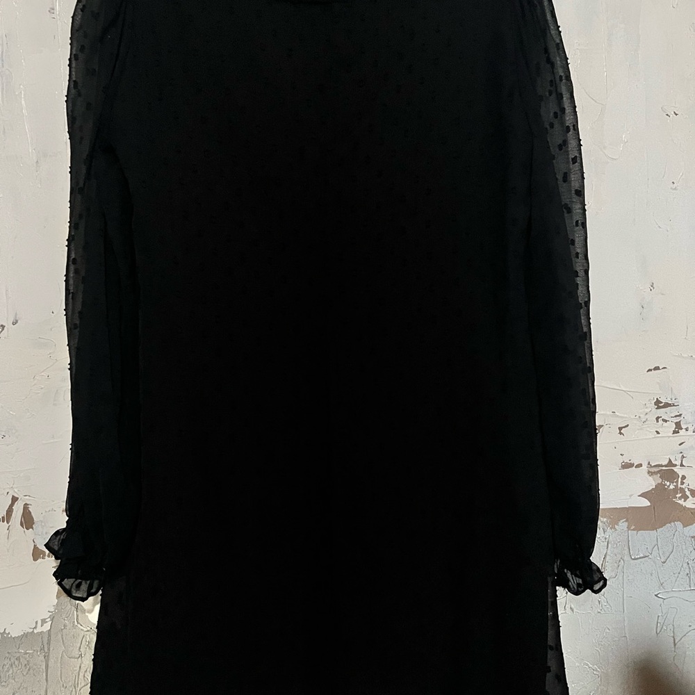 Zara - Picture 3 of 3